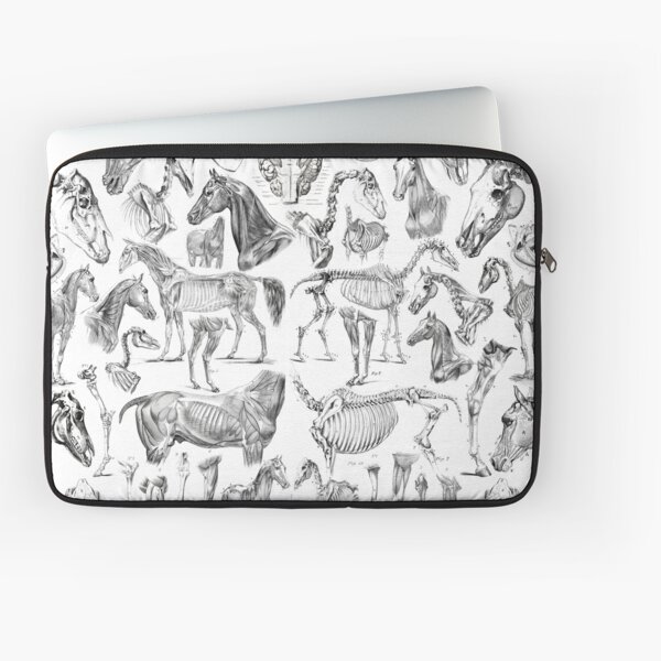 Aperçu de l'œuvre Anatomie du cheval (noir sur blanc) créée et vendue par adamcampen.