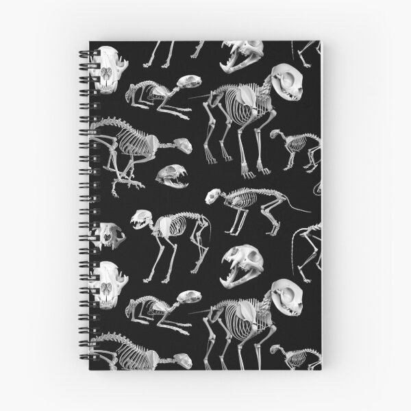 Item preview, Cat Anatomy designed and sold by adamcampen.