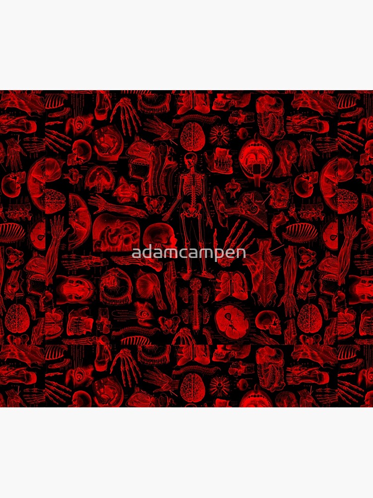 Black and Red Human Anatomy Print by adamcampen