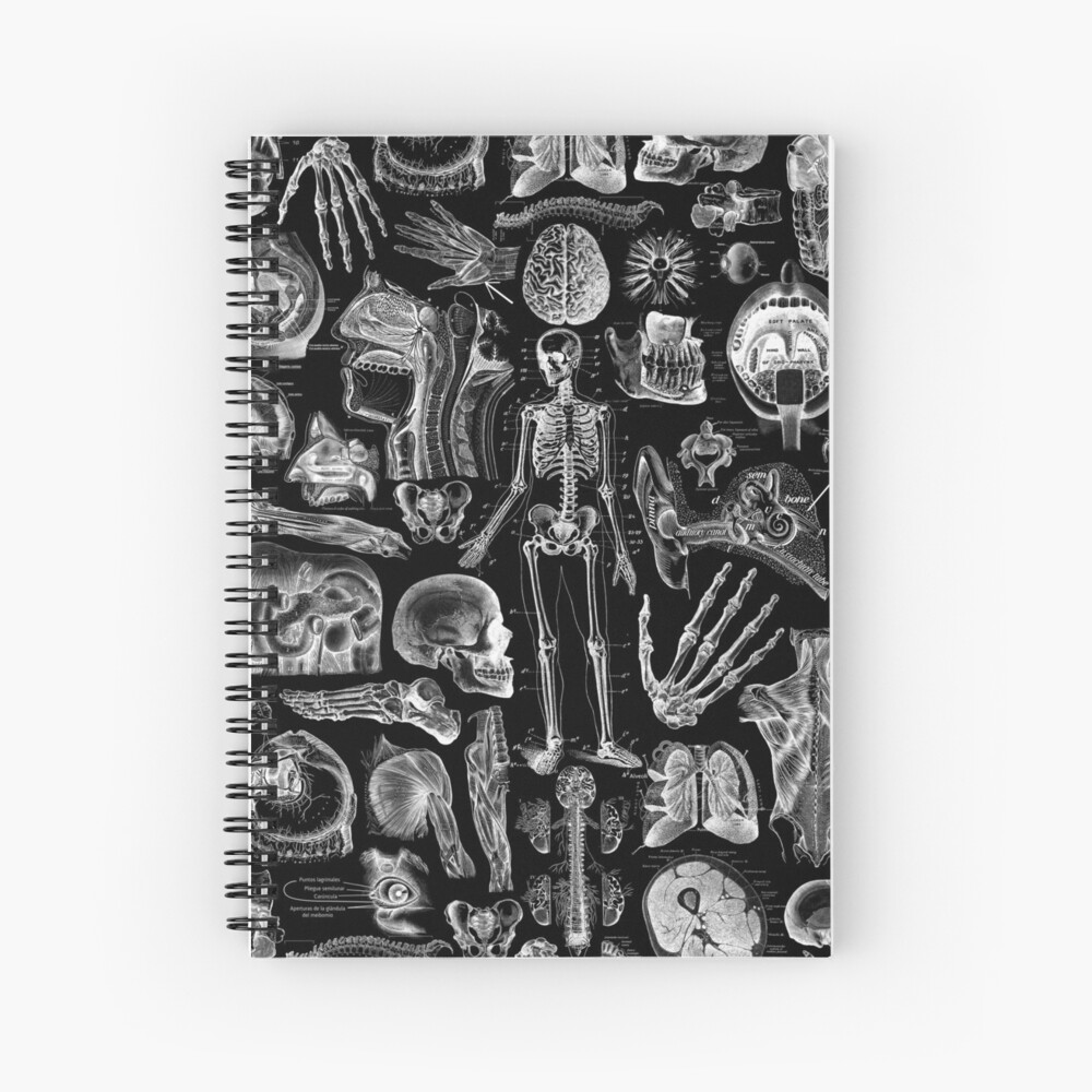Human Anatomy Black Print Spiral Notebook