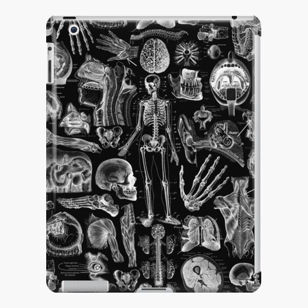 Human Anatomy Black Print iPad Snap Case