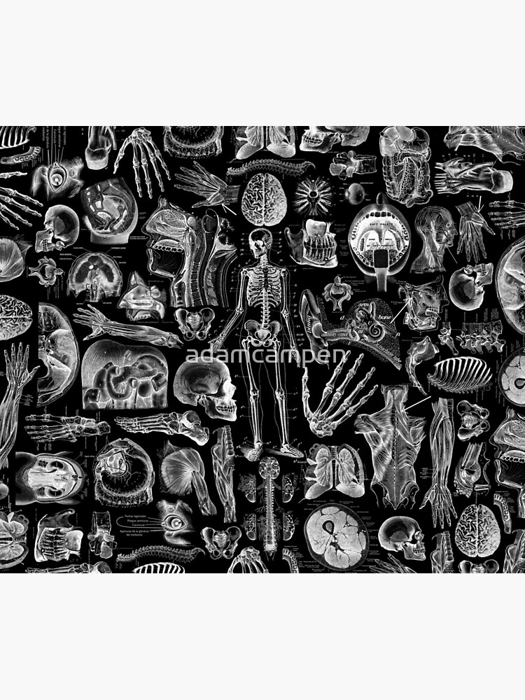 Human Anatomy Black Print by adamcampen