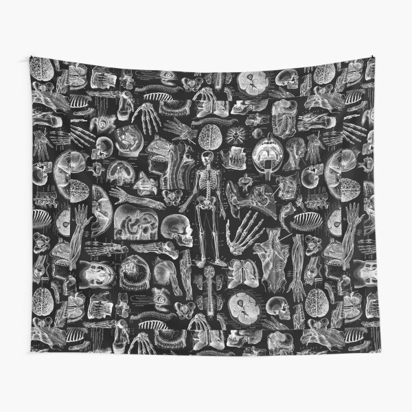 "Human Anatomy Black Print" Tapestry for Sale by adamcampen  Redbubble