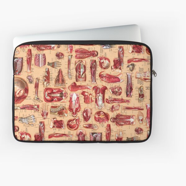 Full Color Anatomy Skin Laptop Sleeve