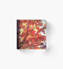 Autumn Song Acrylic Block