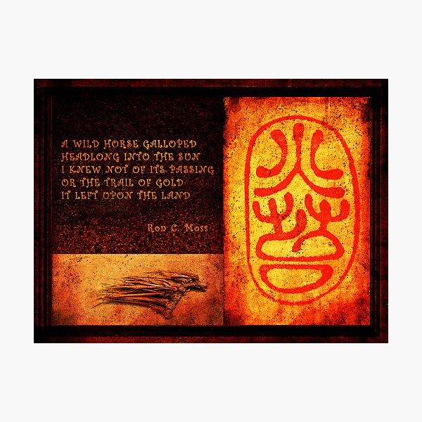 Trail Of Gold Photographic Print