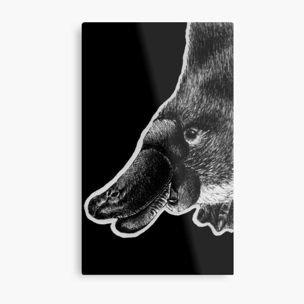 Platypus Metal Print