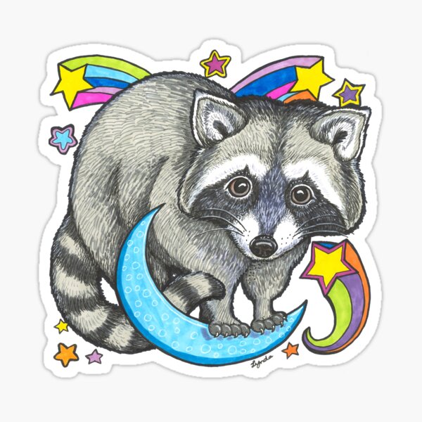 Cosmic Raccoon Sticker