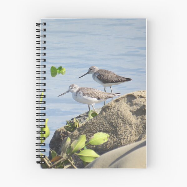 Item preview, Common Greenshanks designed and sold by Genevieve Hanlon Art and Photography.