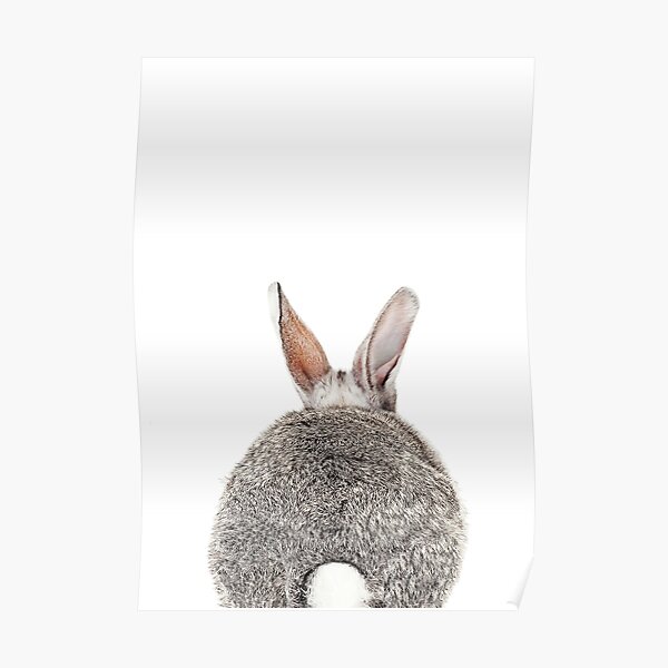 Bunny Butt Póster