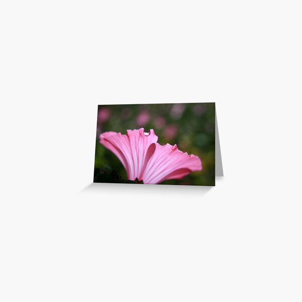 Delicate Pink. Greeting Card
