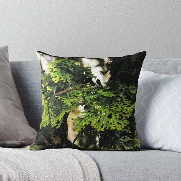Item preview, Lichen in the Deep Forest, Waldheim, Cradle Mountain, Tasmania, Australia. designed and sold by kaysharp.