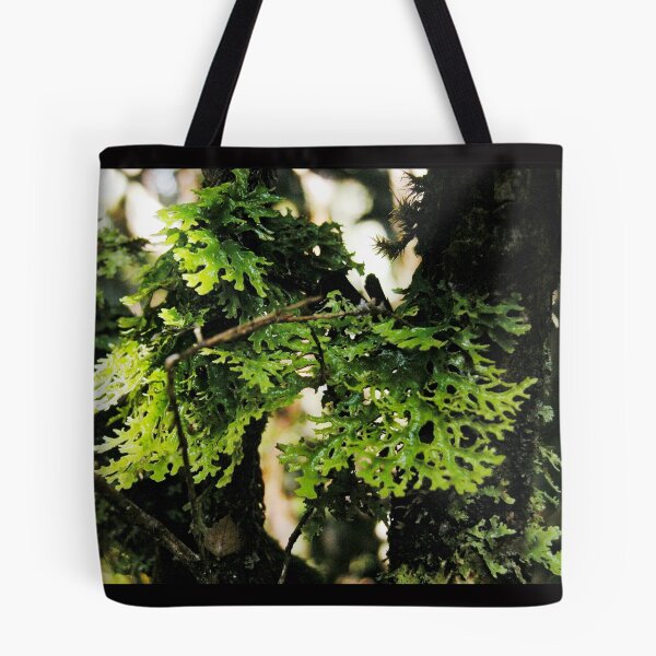 Item preview, Lichen in the Deep Forest, Waldheim, Cradle Mountain, Tasmania, Australia. designed and sold by kaysharp.