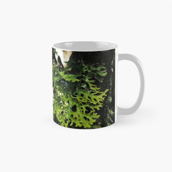 Item preview, Lichen in the Deep Forest, Waldheim, Cradle Mountain, Tasmania, Australia. designed and sold by kaysharp.