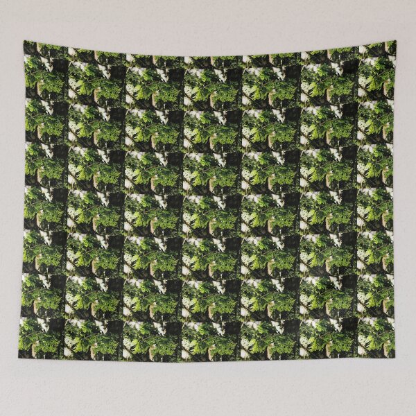 Item preview, Lichen in the Deep Forest, Waldheim, Cradle Mountain, Tasmania, Australia. designed and sold by kaysharp.