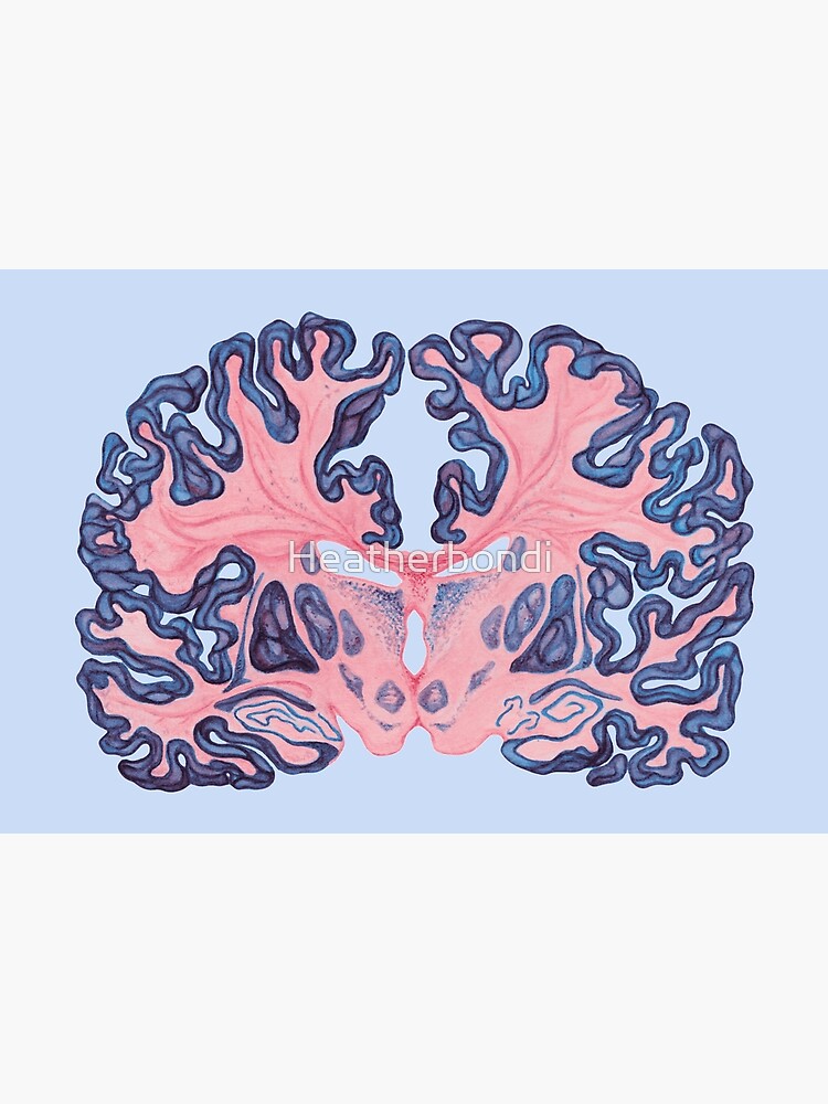 Gyri and Swirls of Human Brain by Heatherbondi