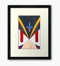 Bass: Fighting Spirit Framed Print
