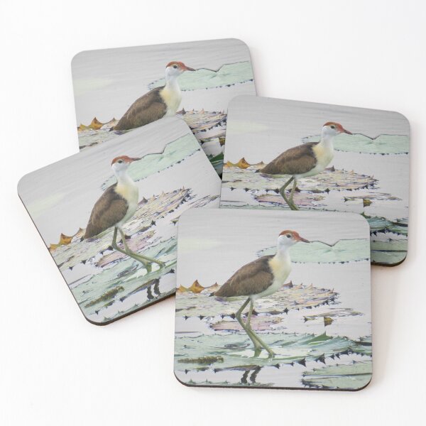 Item preview, Comb Crested Jacana (juvenile) 2 designed and sold by Genevieve Hanlon Art and Photography.