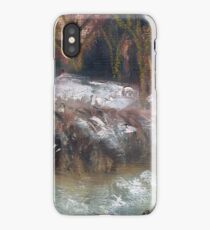 SNOW SCENE iPhone Case/Skin