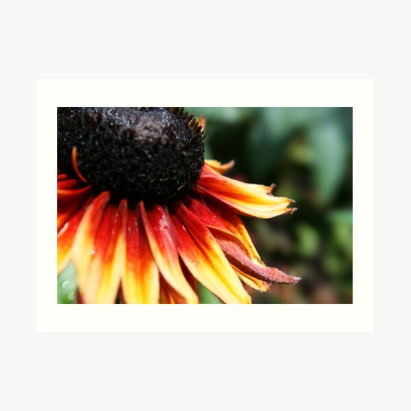 Can You see Me? Art Print