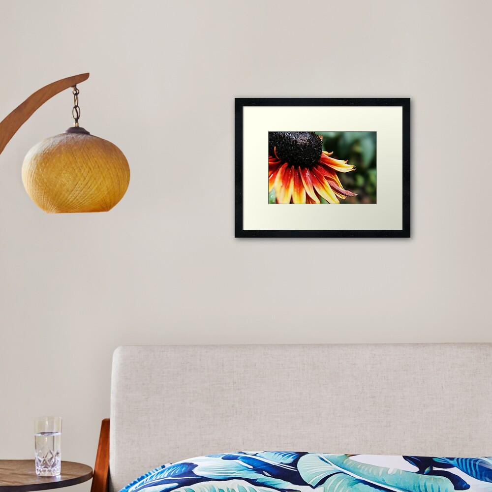 Can You see Me? Framed Art Print