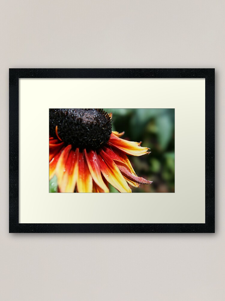 Alternate view of Can You see Me? Framed Art Print
