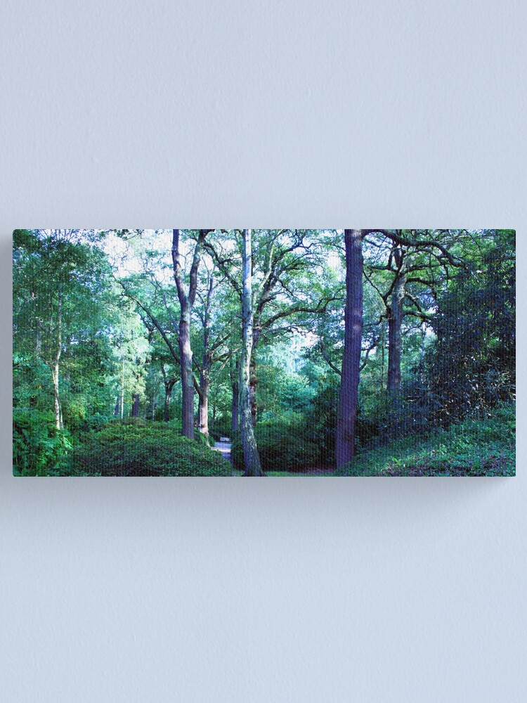 Alternate view of Isabella Plantation Canvas Print