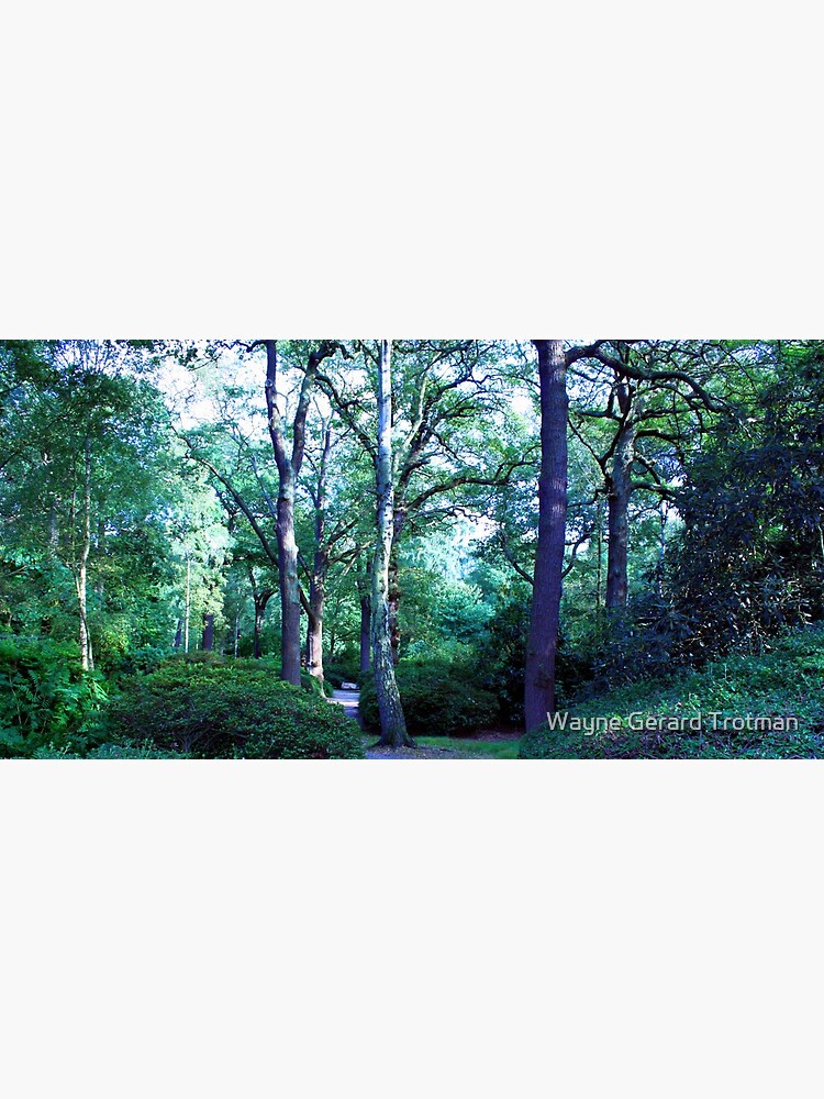 Isabella Plantation by redmoondragon