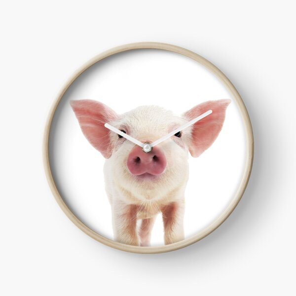 Portrait de bébé cochon Horloge