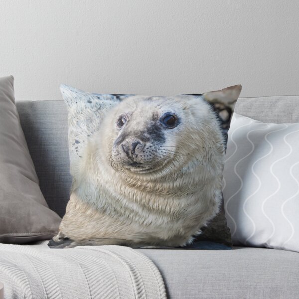 Item preview, Seal Pup at Porthgain, Pembrokeshire. designed and sold by Postywood.