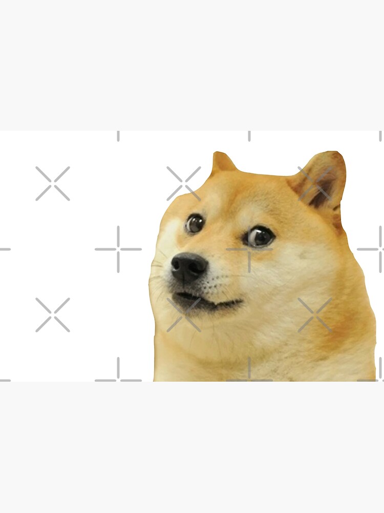 Doge Meme Dog Breed