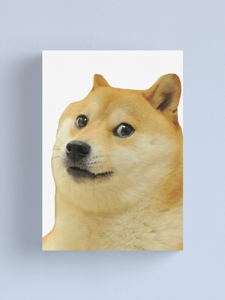 Doge Meme Hundeart Kekistan Shiba Inu Dogright Doggo Leinwanddruck Von Iresist Redbubble