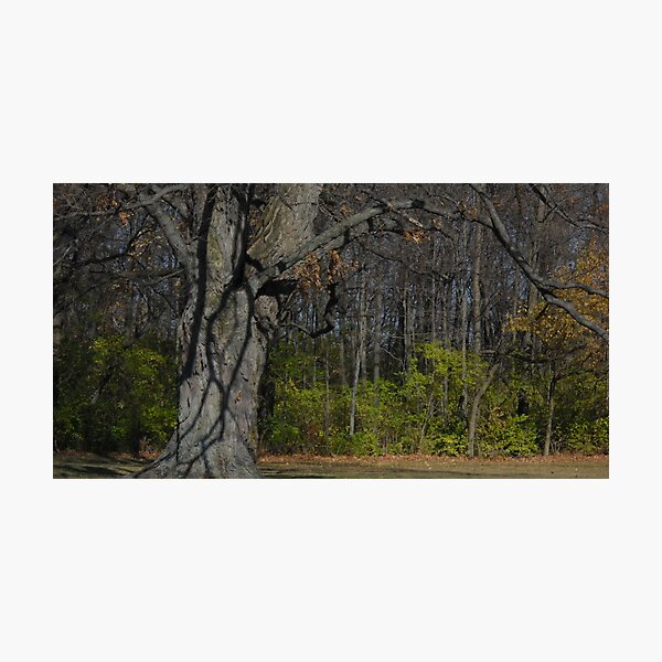 standing Photographic Print