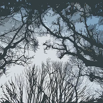 Artwork thumbnail, Abstract Tree Silhouette by ModusDesign
