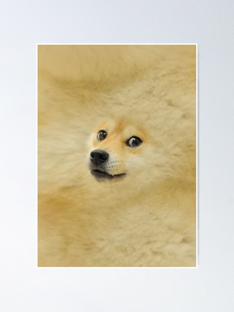 Doge Meme Dog Breed