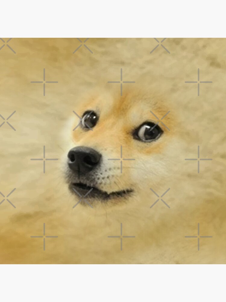 "Doge meme dog style Kekistan Shiba Inu DogRight doggo