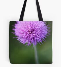 Cirsium Texanum Tote Bag