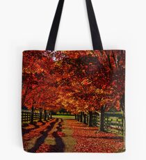 Driveway Tote Bag