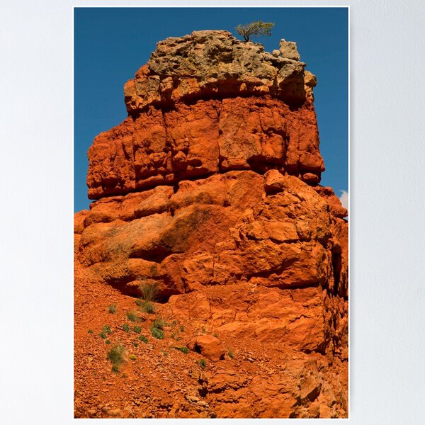 Item preview, Another Red Rock - With A Tree On Top © designed and sold by © Hany G. Jadaa © Prince John Photography.