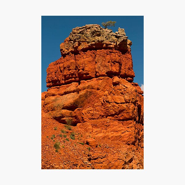 Item preview, Another Red Rock - With A Tree On Top © designed and sold by © Hany G. Jadaa © Prince John Photography.