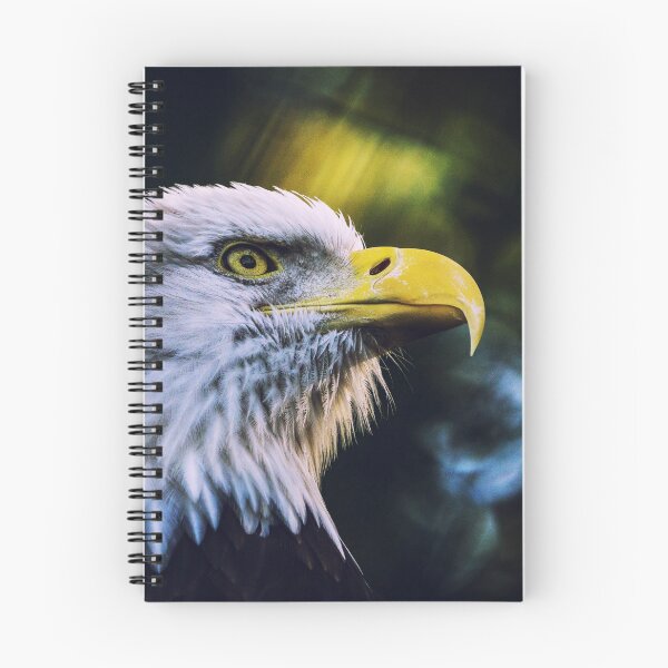 Item preview, Bald Eagle - Gift idea designed and sold by Dagostino.