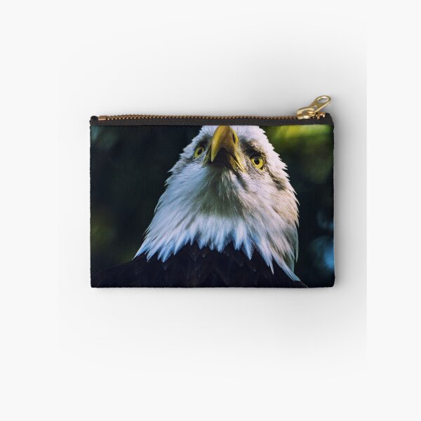 Item preview, Bald Eagle - USA - Gift idea designed and sold by Dagostino.