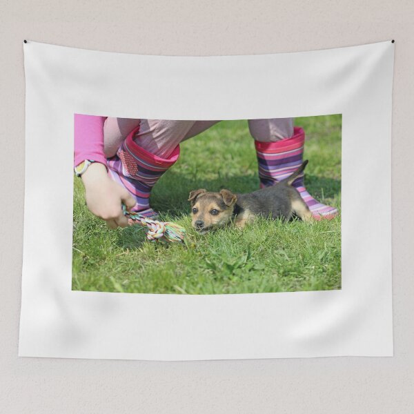 Item preview, puppy and child play with colorful rope designed and sold by goceris.