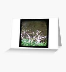Petals Greeting Card