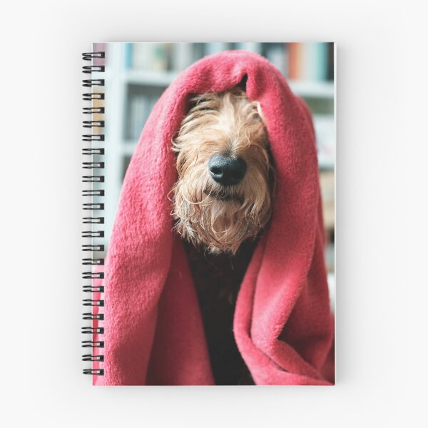 Item preview, Obi-Wan Kenobi Irish Terrier designed and sold by Trish  Anderson.