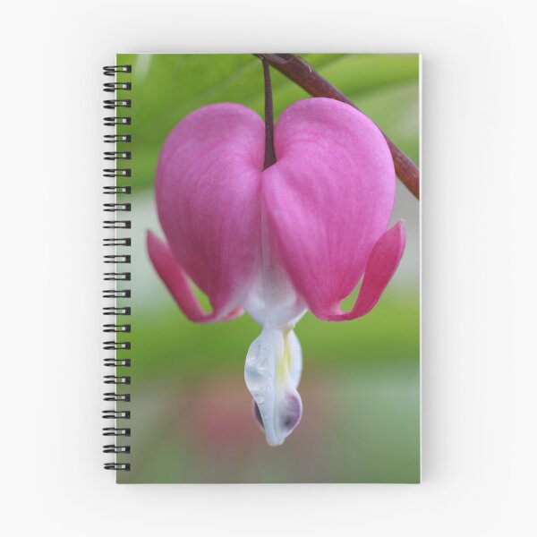 Item preview, dicentra bleeding heart designed and sold by markspics.