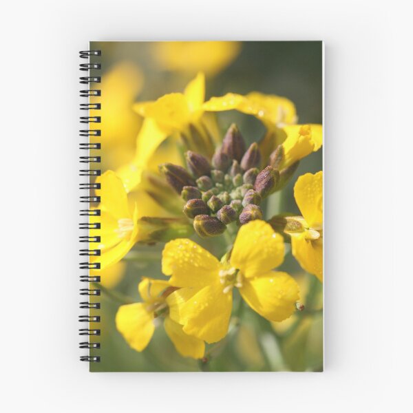 Item preview, wallflowers designed and sold by markspics.