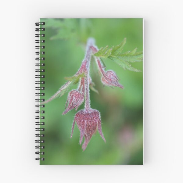 Item preview, water aven designed and sold by markspics.