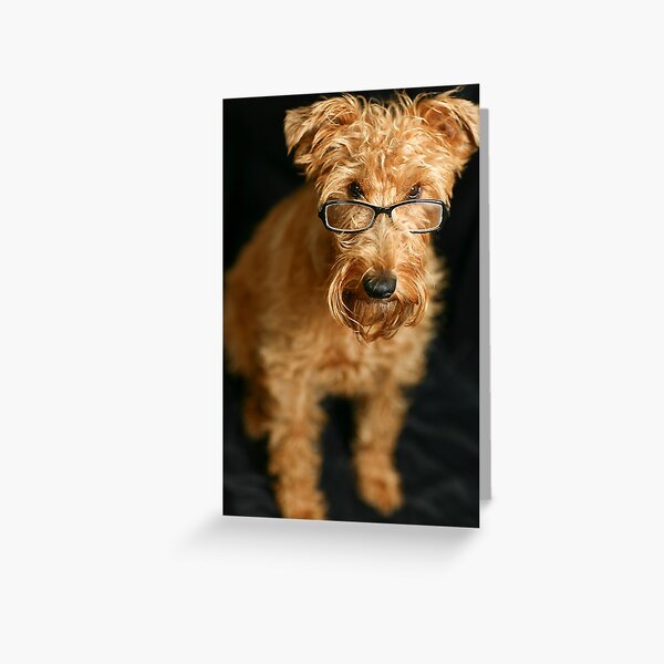 Making a spectacle Greeting Card