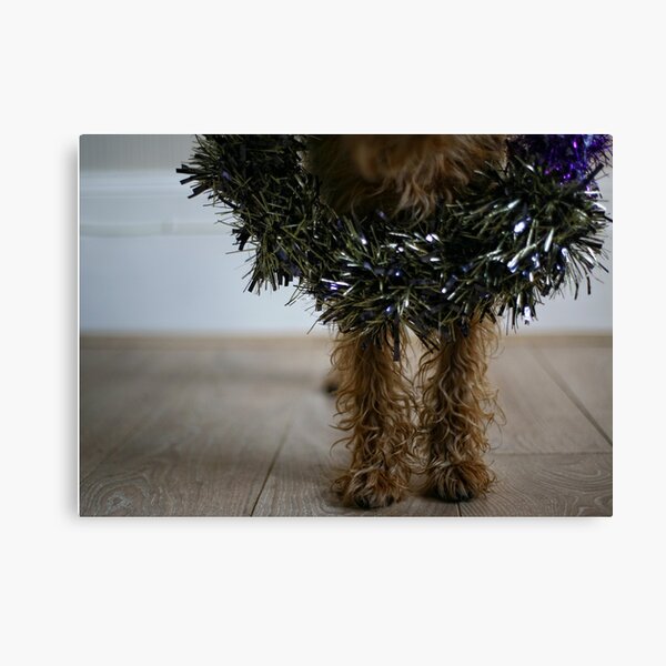 Merrier Terrier Canvas Print